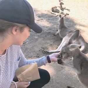 Meet your Posher, Annie